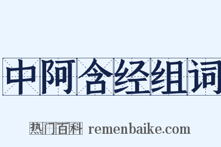 中阿含经组词是什么意思的图片